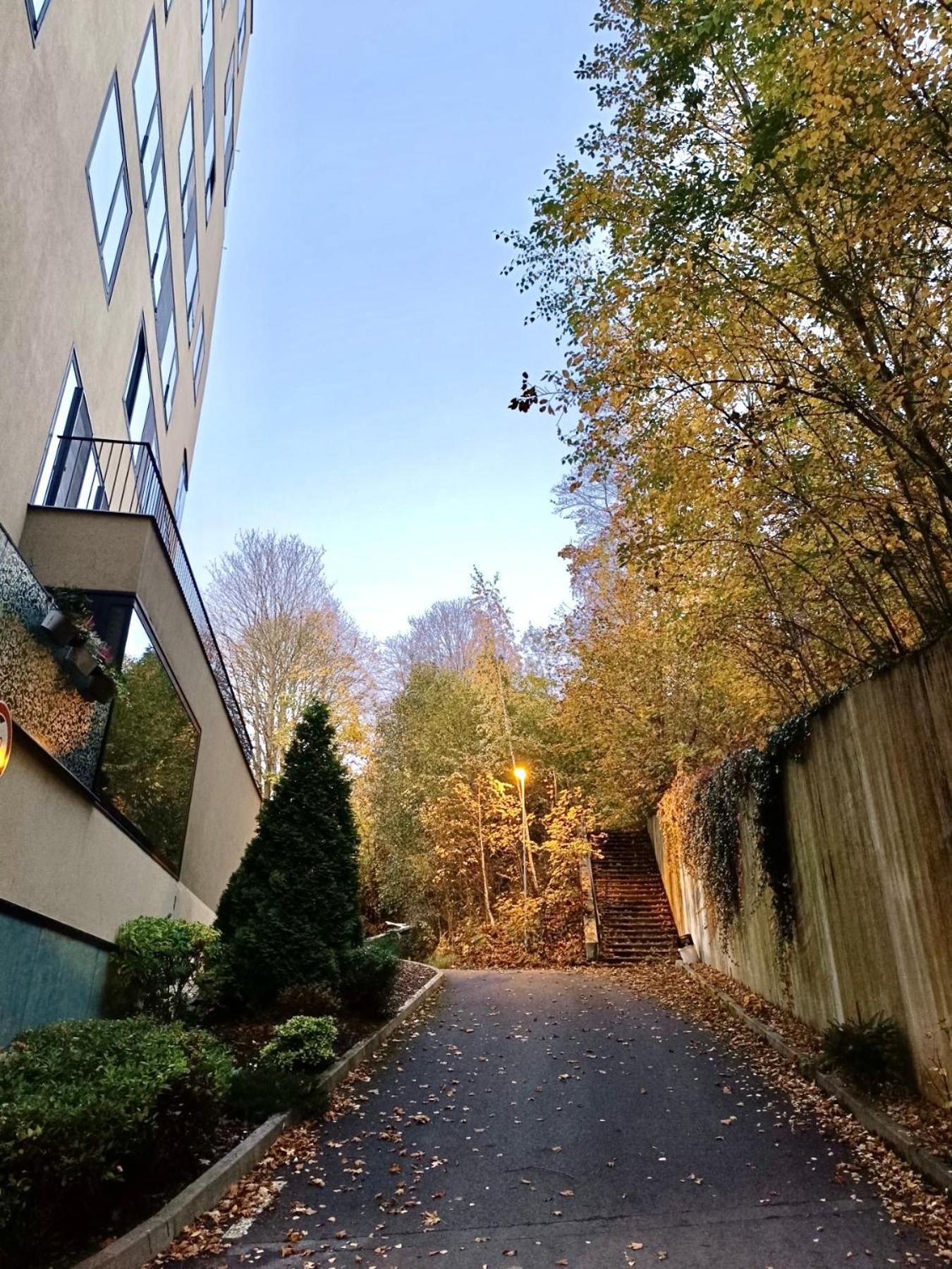 Artflora Kv Premium Daire Karlovy Vary Dış mekan fotoğraf