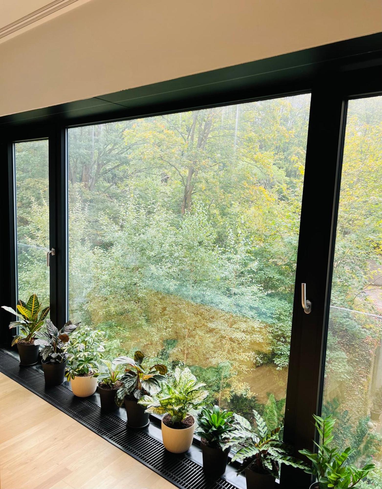 Artflora Kv Premium Daire Karlovy Vary Dış mekan fotoğraf