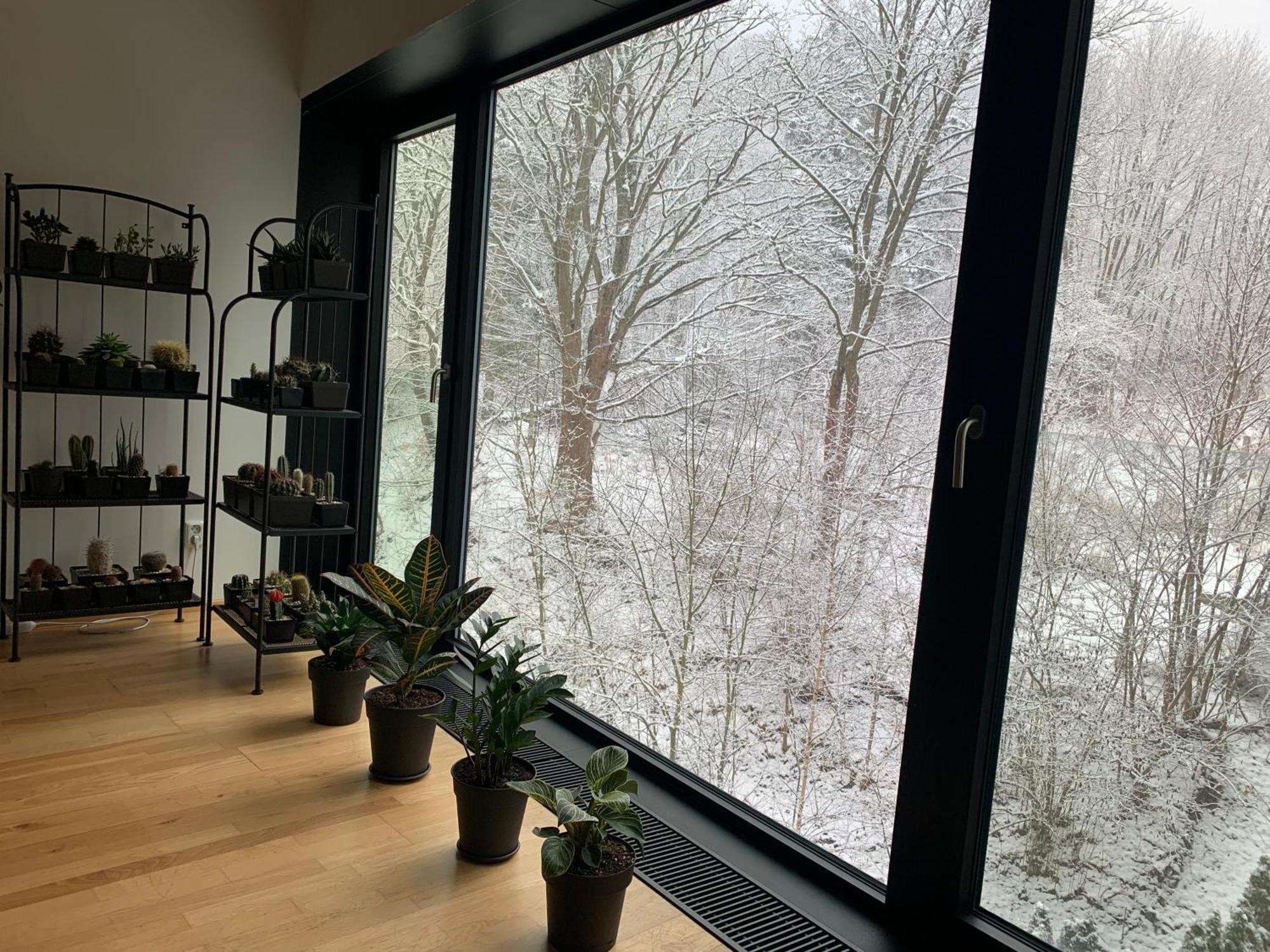 Artflora Kv Premium Daire Karlovy Vary Dış mekan fotoğraf